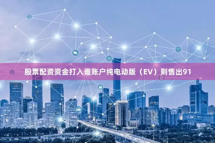 股票配资资金打入谁账户纯电动版（EV）则售出91