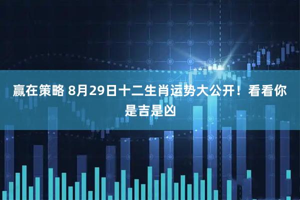 赢在策略 8月29日十二生肖运势大公开！看看你是吉是凶